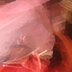 Photo tramée par couleur de Matthieu
